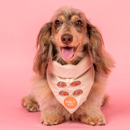 Hot Cross Buns: Velvet Dog Bandana