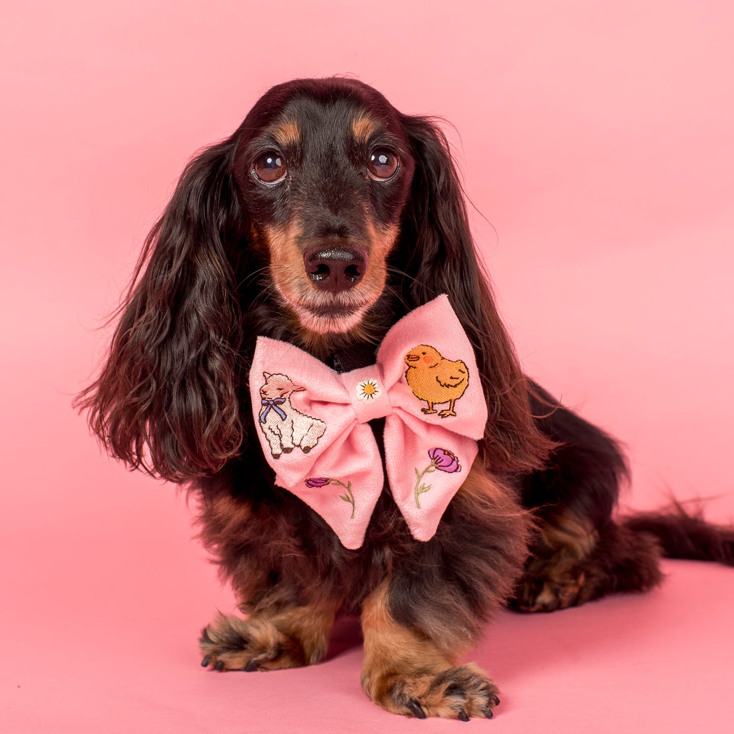 Easter Parade: Velvet Sailor Bow