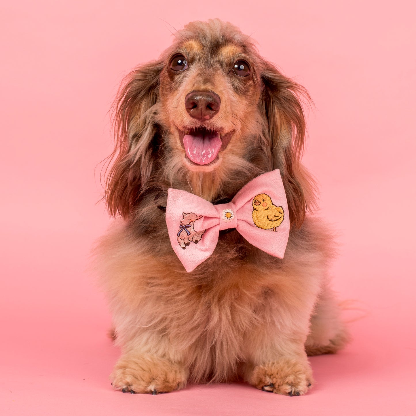 Easter Parade: Bow Tie