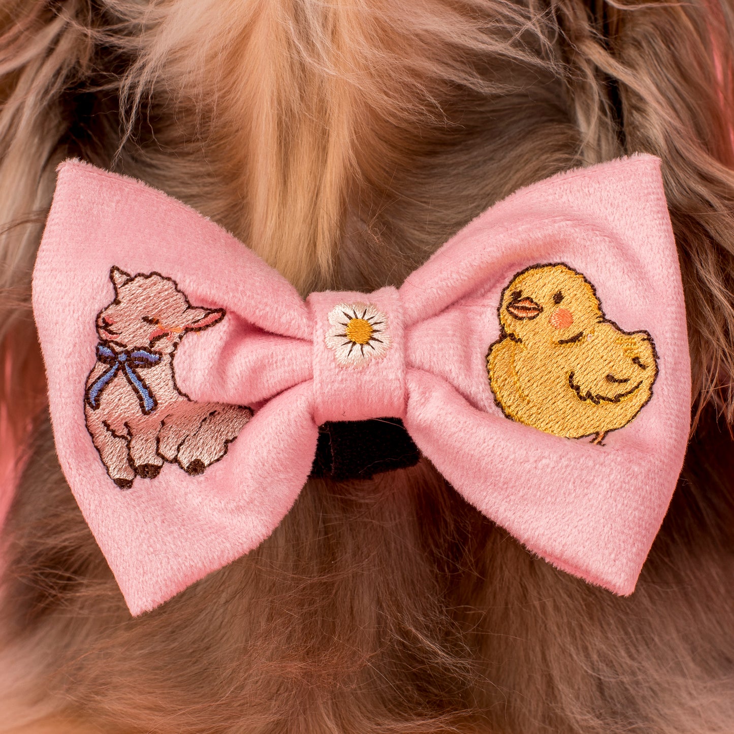 Easter Parade: Bow Tie