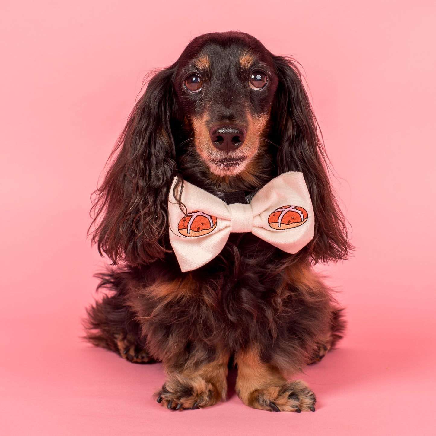 Hot Cross Buns: Velvet Bow Tie