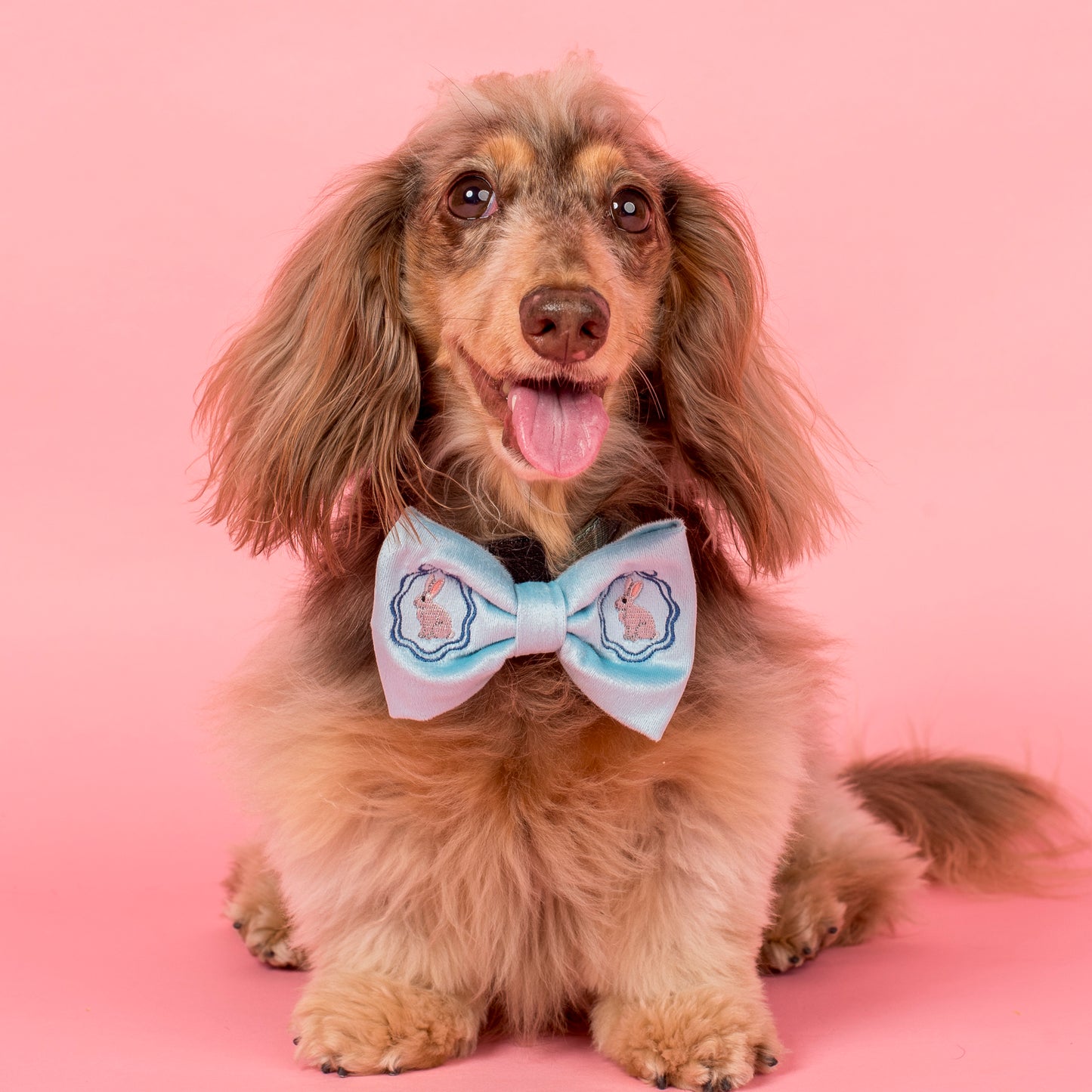 Easter Bunny: Velvet Bow Tie
