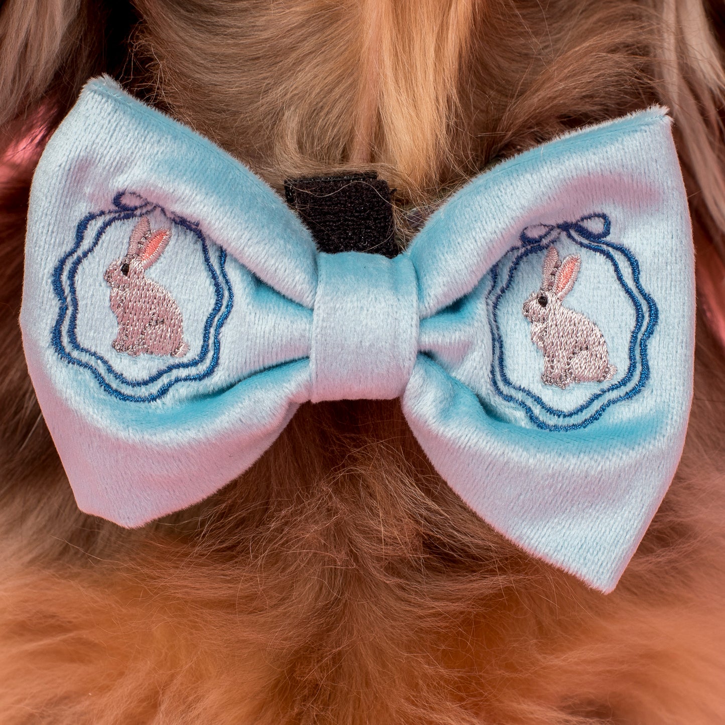 Easter Bunny: Velvet Bow Tie