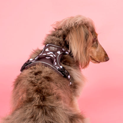 Polka Dots: No Pull Adventure Harness