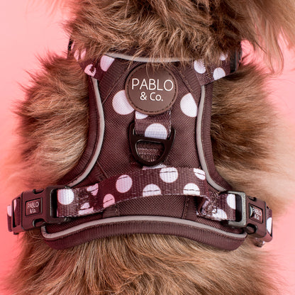 Polka Dots: No Pull Adventure Harness