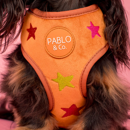 You're A Star: Velvet Adjustable Harness