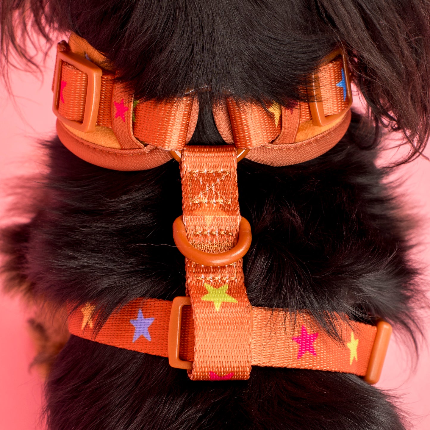 You're A Star: Velvet Adjustable Harness