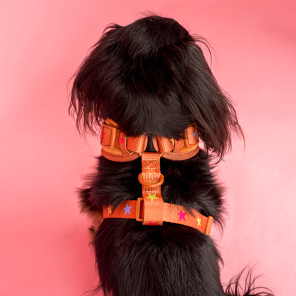 You're A Star: Velvet Adjustable Harness