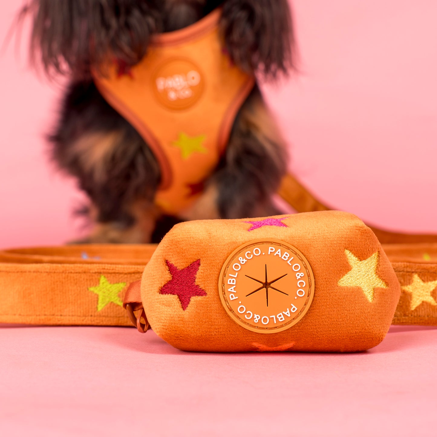 You're A Star: Velvet Poop Bag Holder