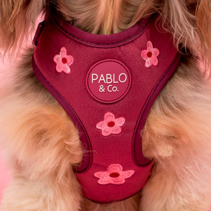 Bloom Baby Bloom: Velvet Adjustable Harness
