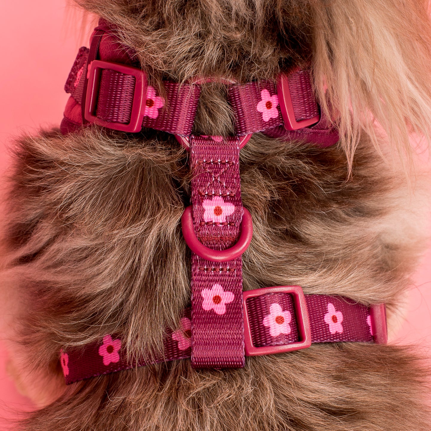 Bloom Baby Bloom: Velvet Adjustable Harness