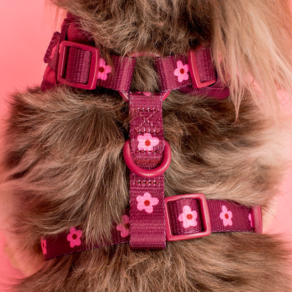 Bloom Baby Bloom: Velvet Adjustable Harness