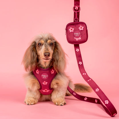 Bloom Baby Bloom: Velvet Dog Leash
