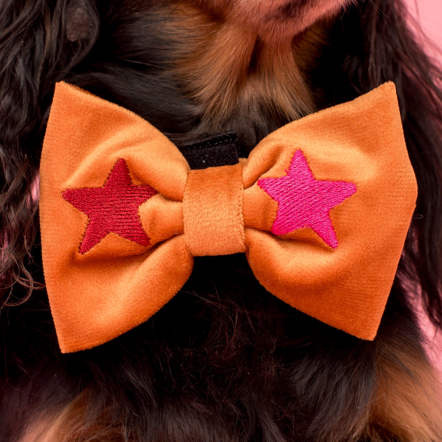 You're A Star: Velvet Bow Tie