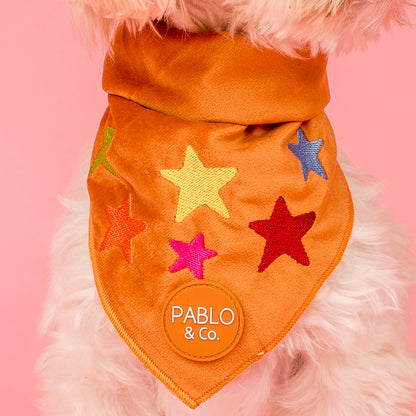 You're A Star: Velvet Dog Bandana