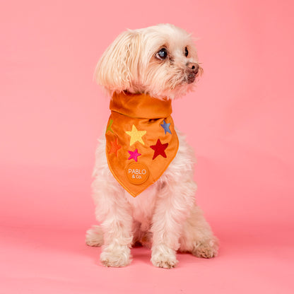 You're A Star: Velvet Dog Bandana