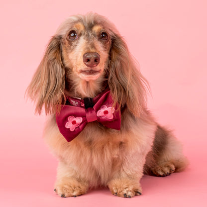 Bloom Baby Bloom: Velvet Bow Tie