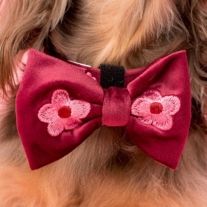 Bloom Baby Bloom: Velvet Bow Tie