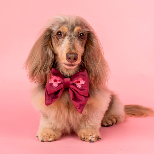 Bloom Baby Bloom: Velvet Sailor Bow