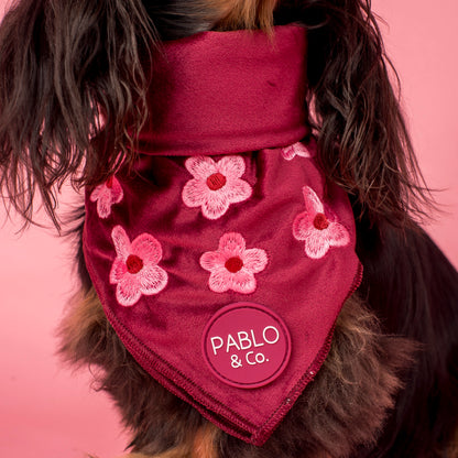 Bloom Baby Bloom: Velvet Dog Bandana