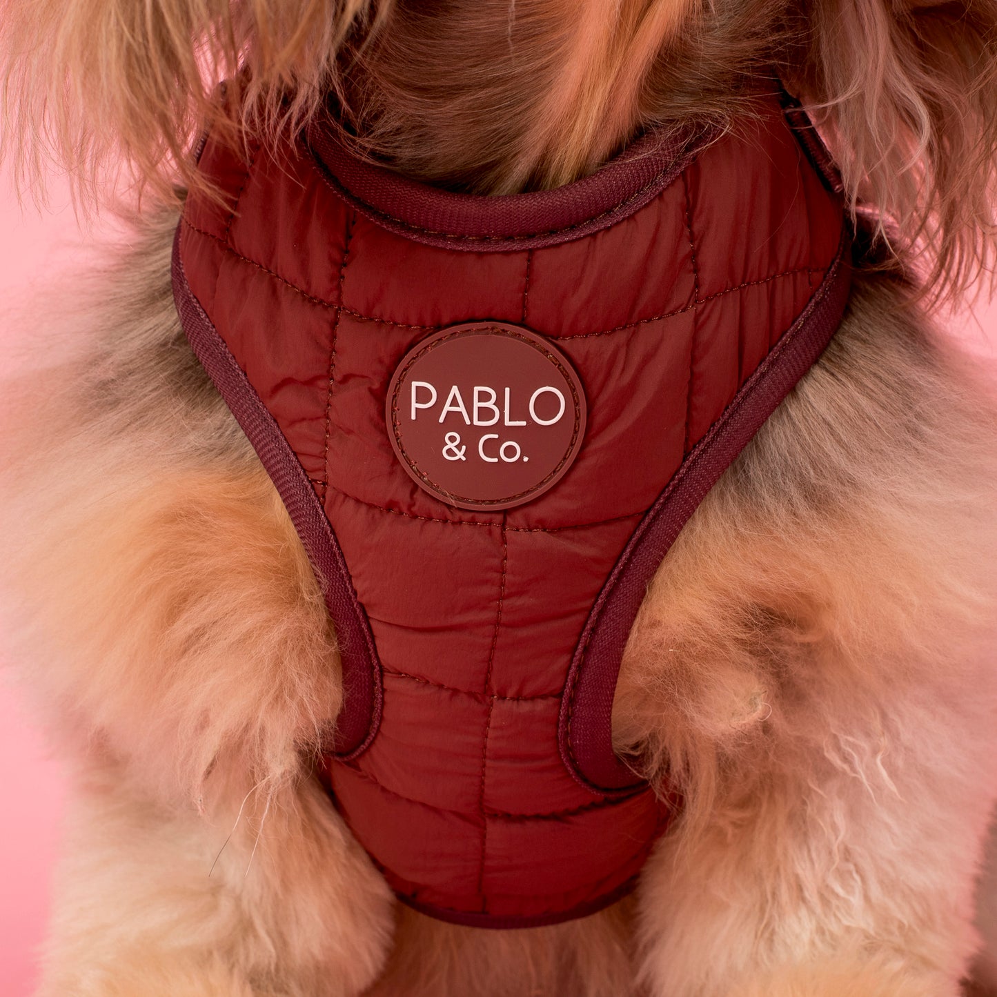 Chocolate Puffer: Adjustable Harness