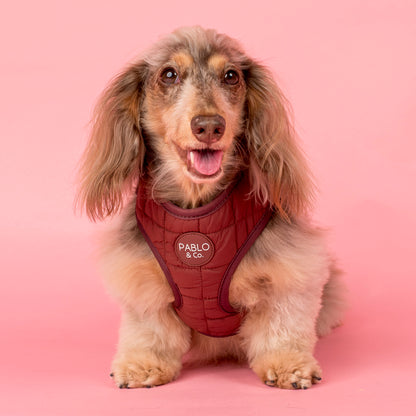 Chocolate Puffer: Adjustable Harness
