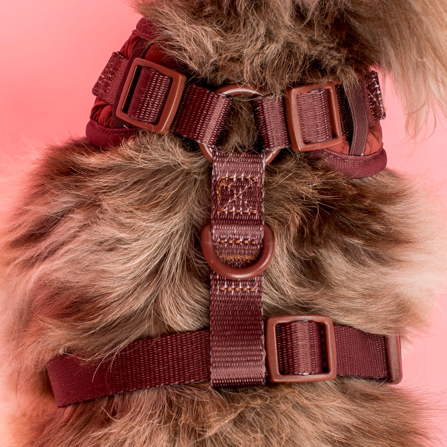 Chocolate Puffer: Adjustable Harness