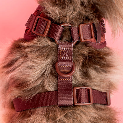 Chocolate Puffer: Adjustable Harness