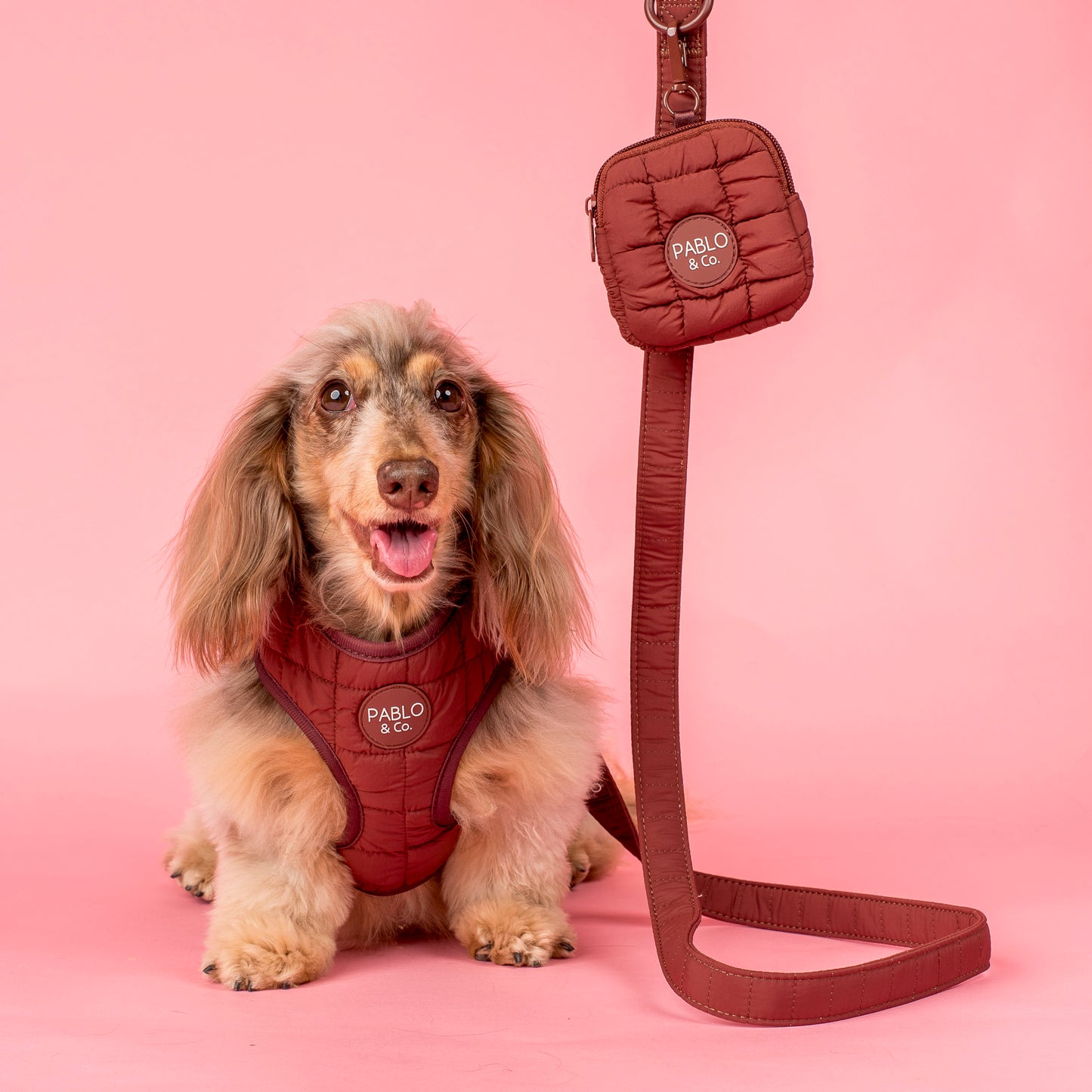 Chocolate Puffer: Adjustable Harness