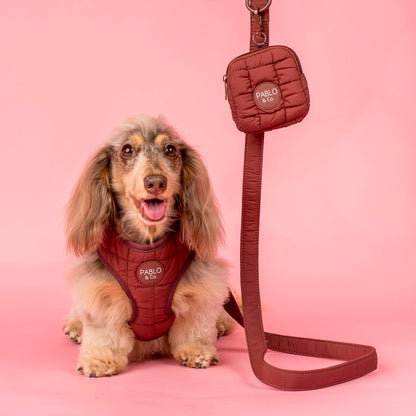 Chocolate Puffer: Adjustable Harness