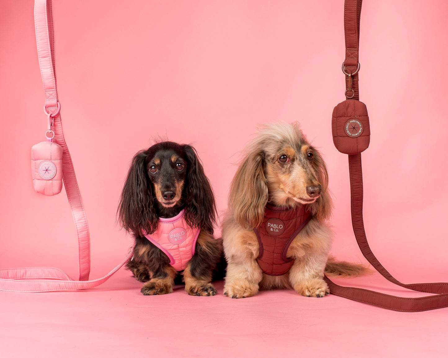 Pink Puffer: Dog Leash