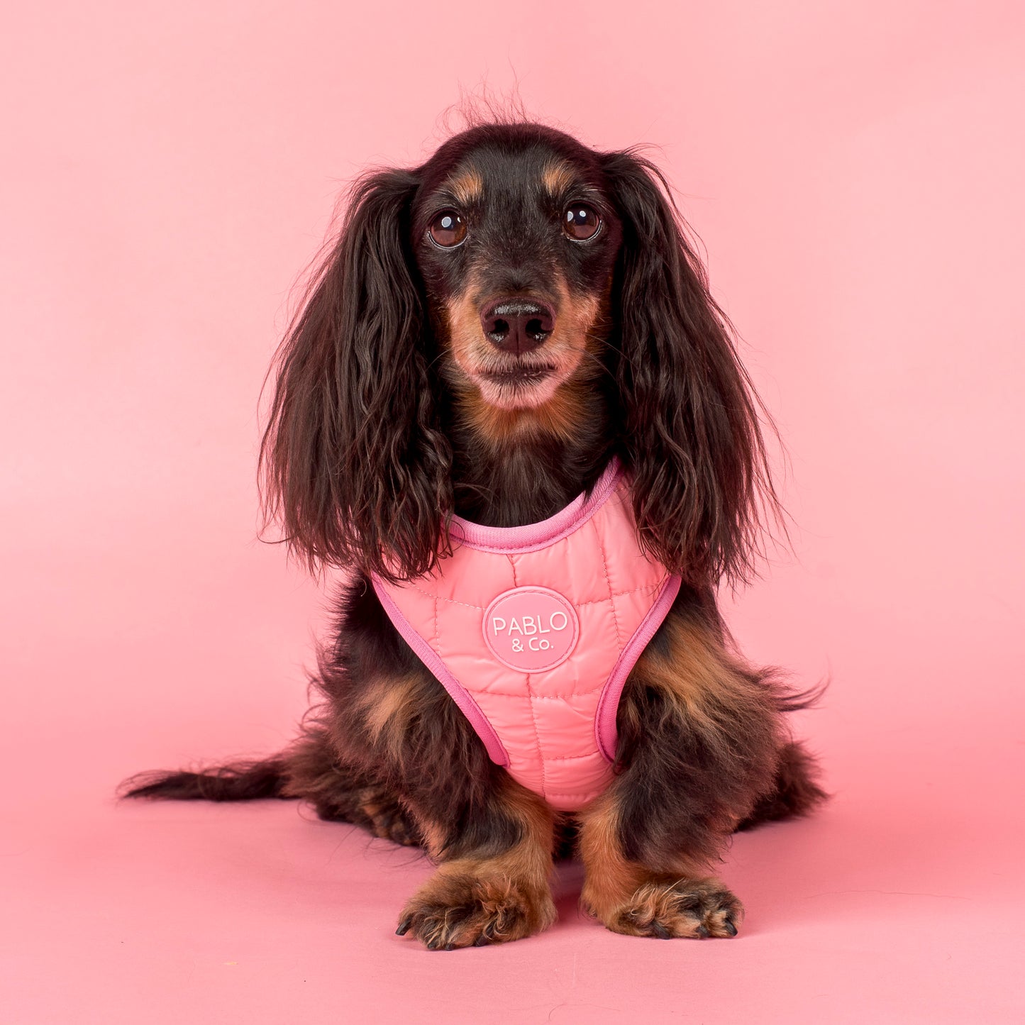Pink Puffer: Adjustable Harness