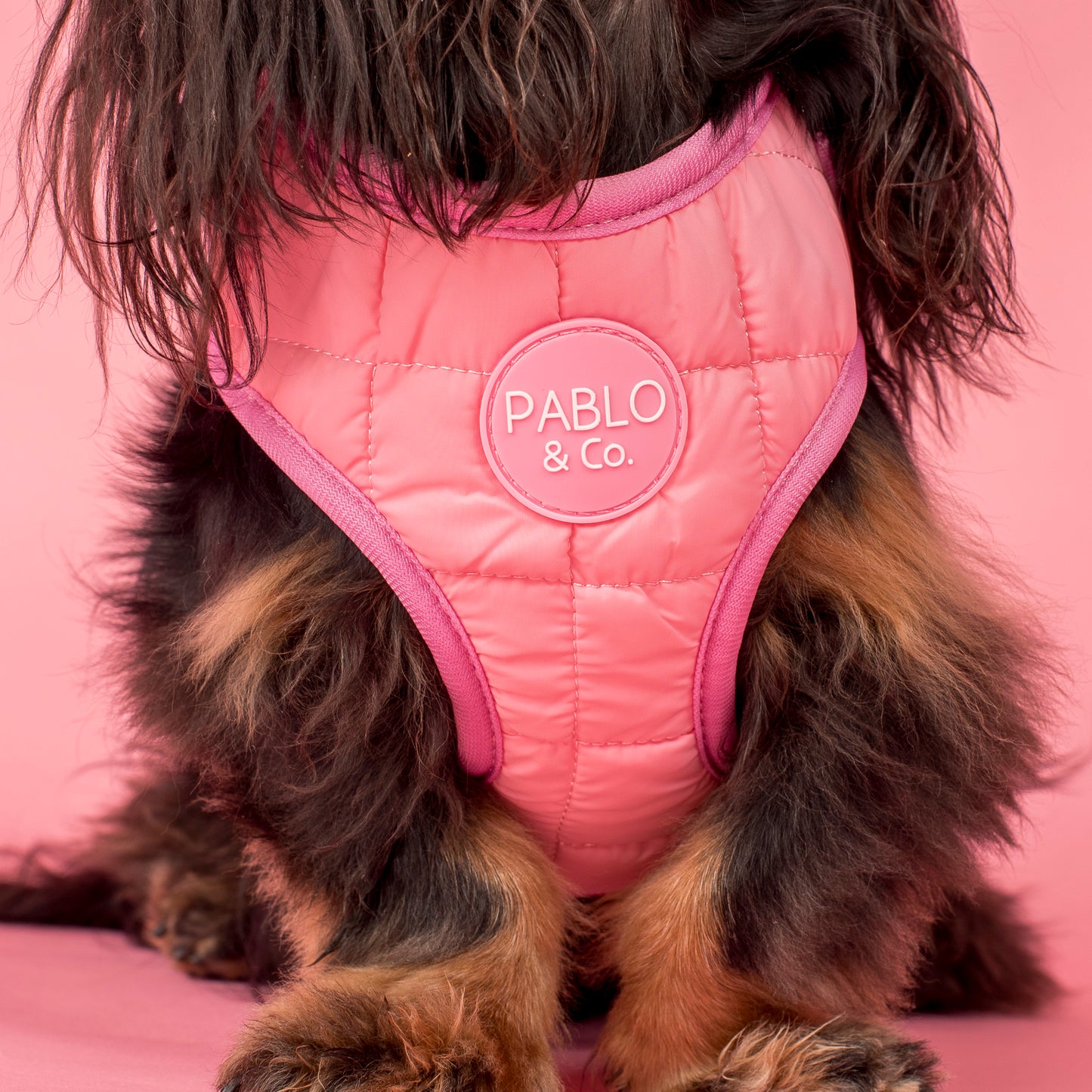 Pink Puffer: Adjustable Harness