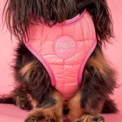 Pink Puffer: Adjustable Harness