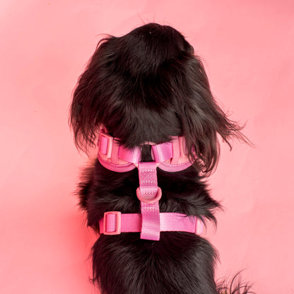 Pink Puffer: Adjustable Harness