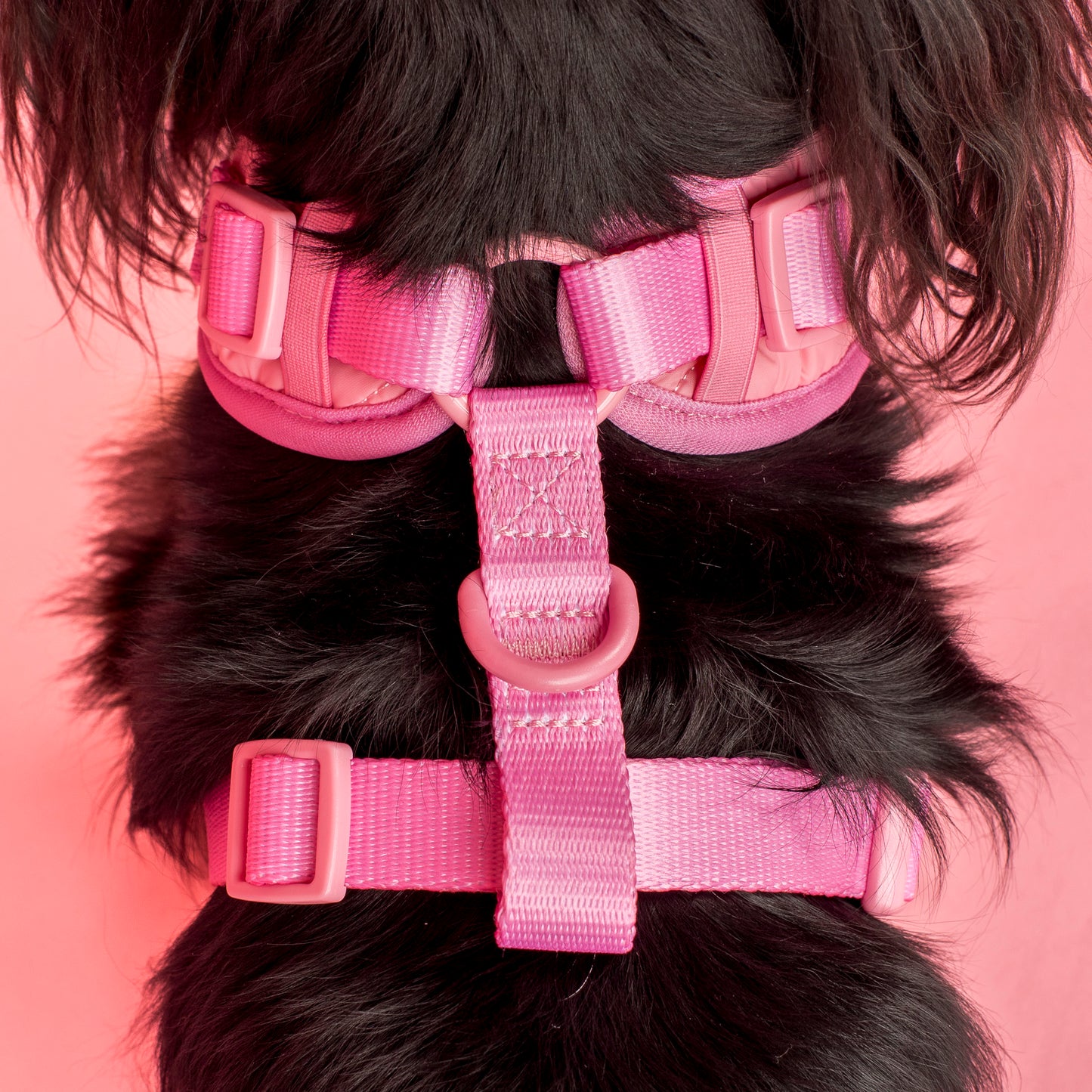 Pink Puffer: Adjustable Harness