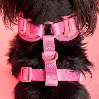 Pink Puffer: Adjustable Harness