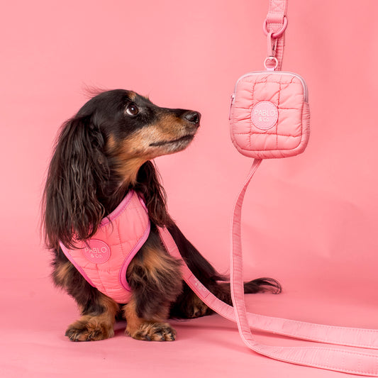 Pink Puffer: Treat Pouch