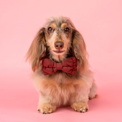 Chocolate Puffer: Bow Tie