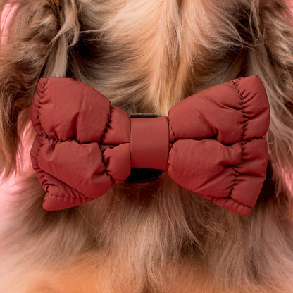 Chocolate Puffer: Bow Tie