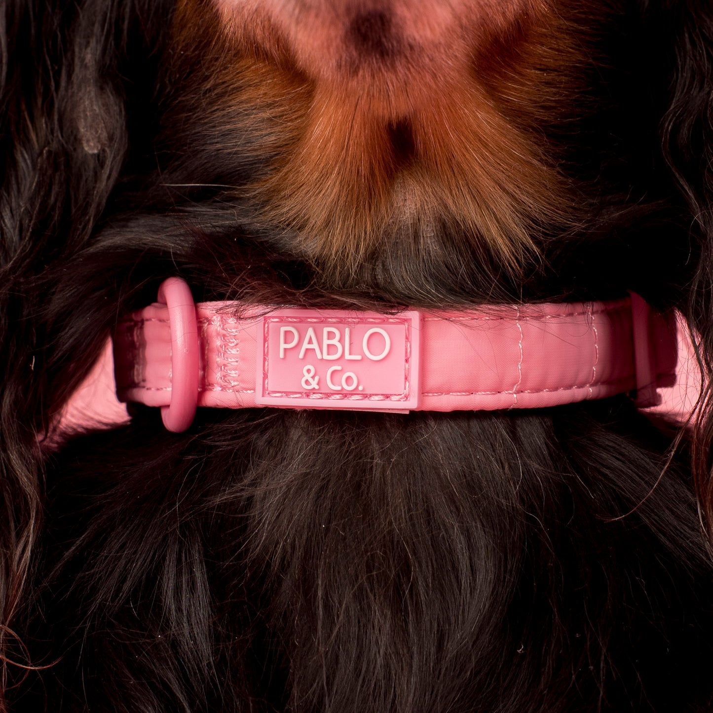 Pink Puffer: Collar