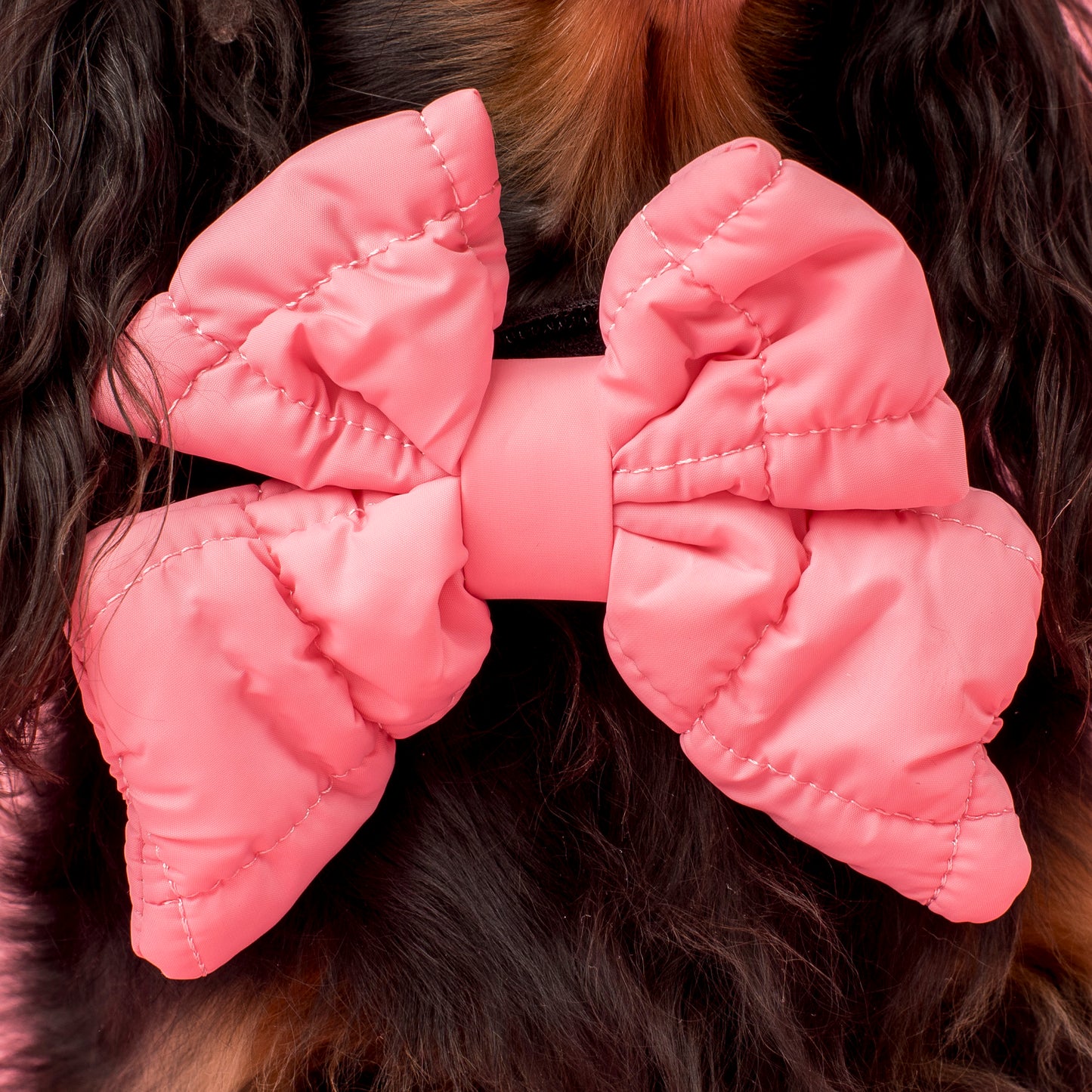 Pink Puffer: Sailor Bow