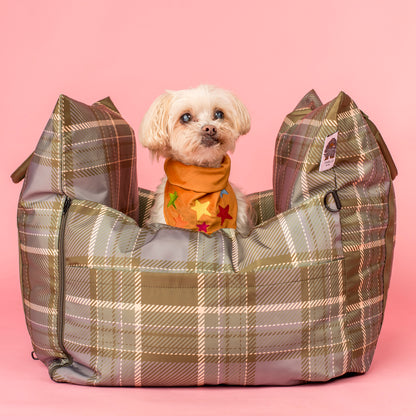 You're A Star: Velvet Dog Bandana