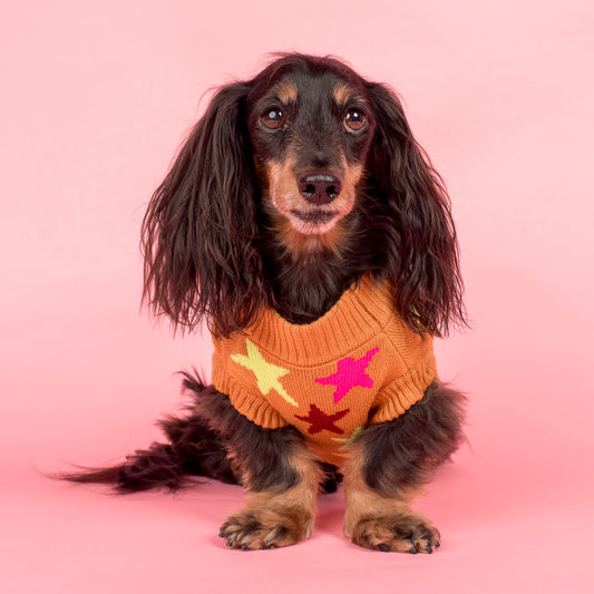 You're A Star: Sweater