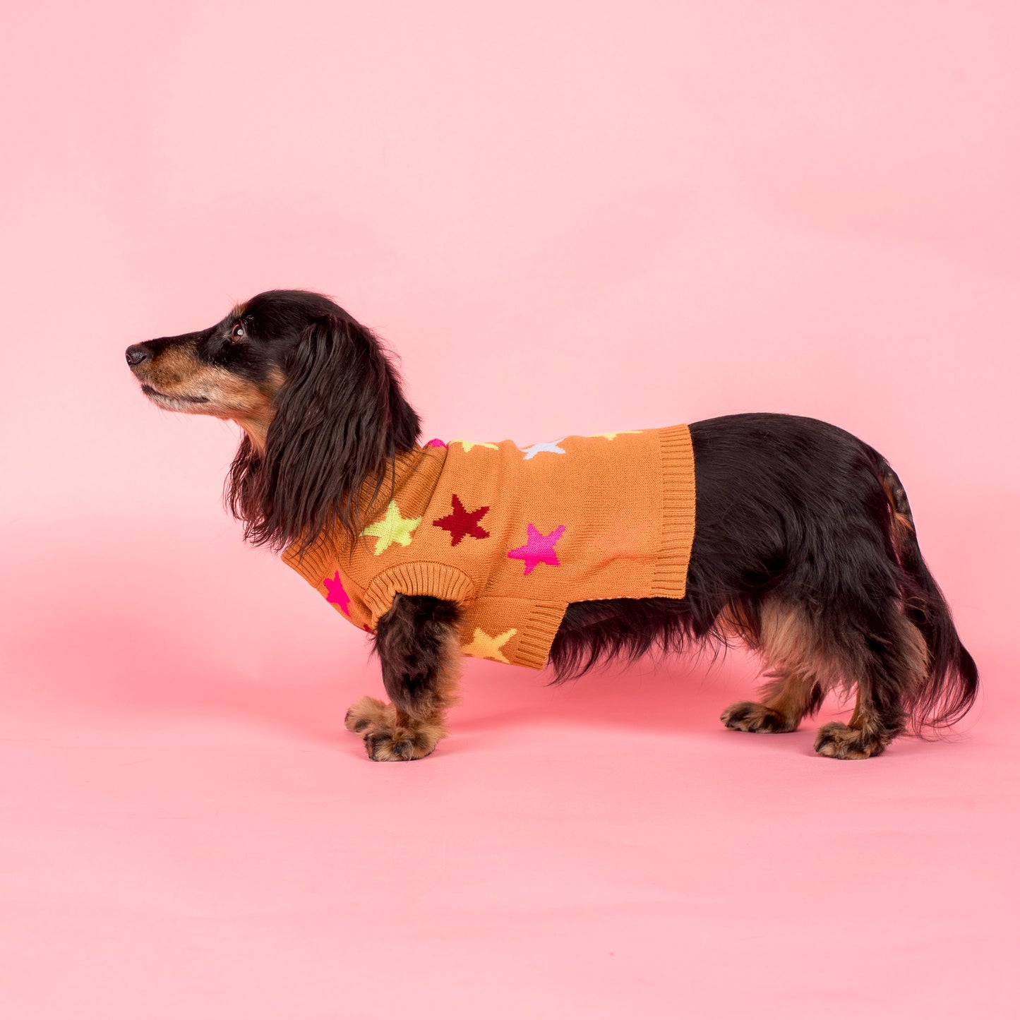 You're A Star: Sweater