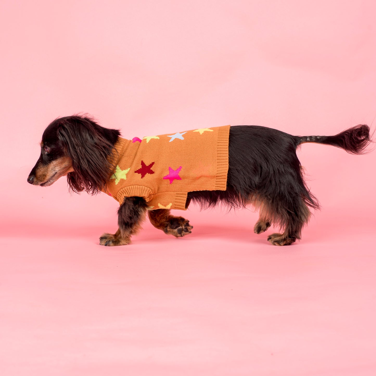 You're A Star: Sweater
