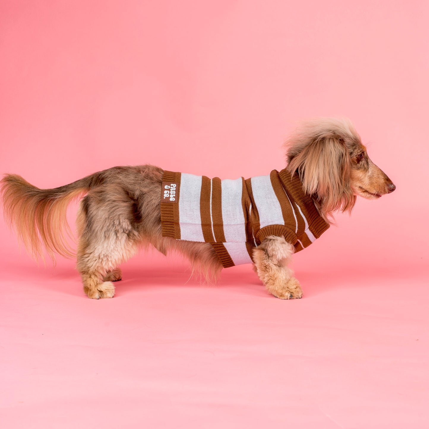 Sunday Stripes: Sweater