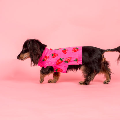 Strawberries: Sweater