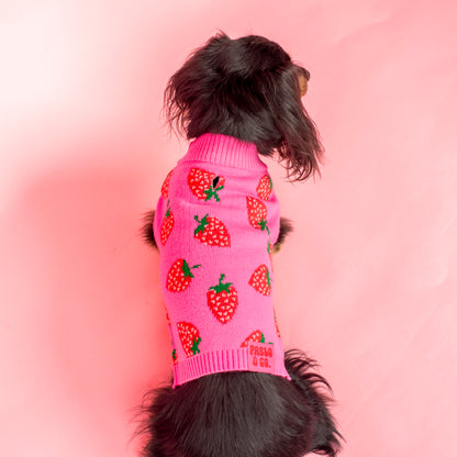 Strawberries: Sweater