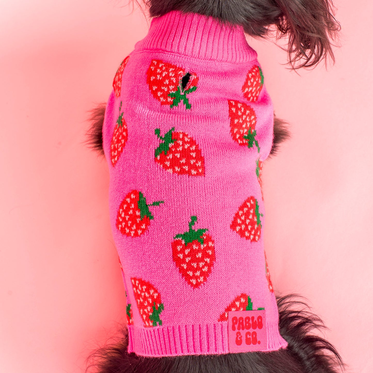 Strawberries: Sweater